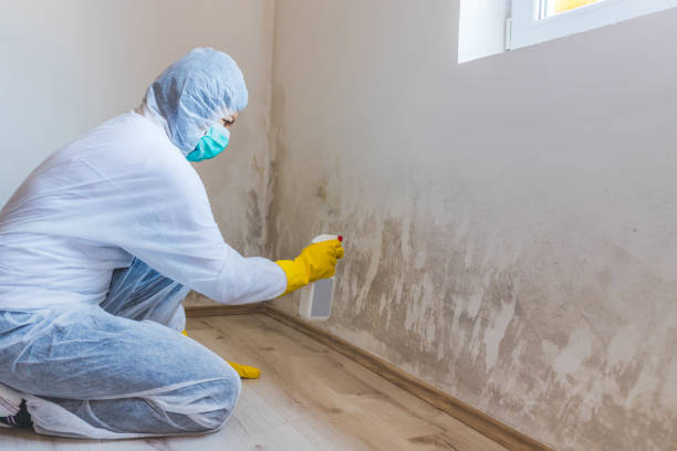 Hvac And Air Duct Mold Remediation inspection of HVAC system in Marion